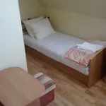Pracownicze